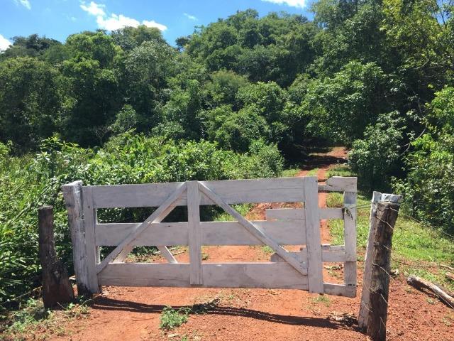 Fazenda com 5,5 Alqueires, Toda Formada, Pontalina Goiás, - Foto 2