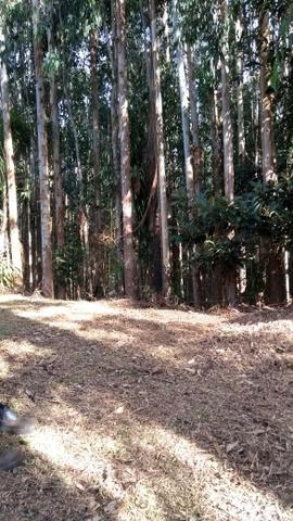 Chacara pedra preta - Foto 20