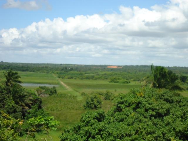 Vendo Fazenda em Ceará Mirim - Foto 13