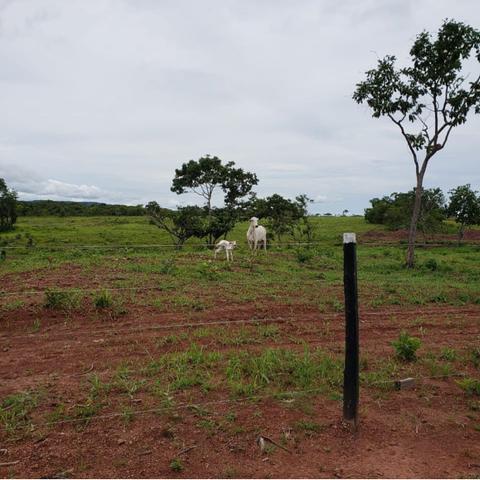 Vendo propriedade em Rosário Oeste - Foto 5