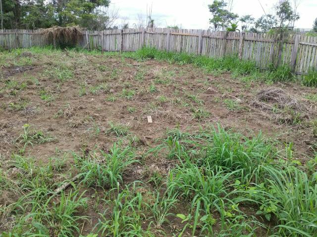 Terreno - Foto 2