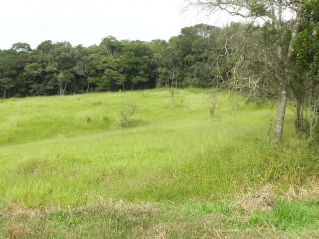 Agt-ótimo terreno para construir chacará na região de Mairiporã - Foto 8