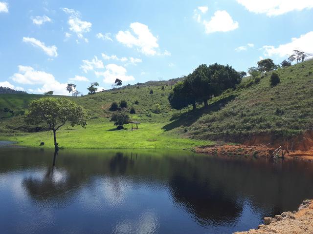 Venda ou arrendamento Excelente Fazenda 540 tarefas em Ubaira - Foto 8