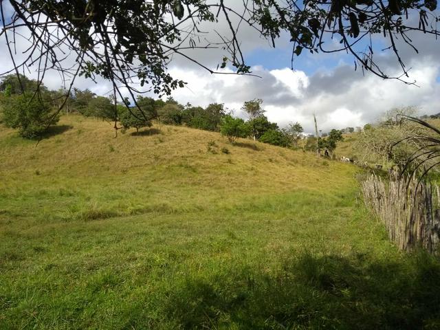 Sitio - Foto 2