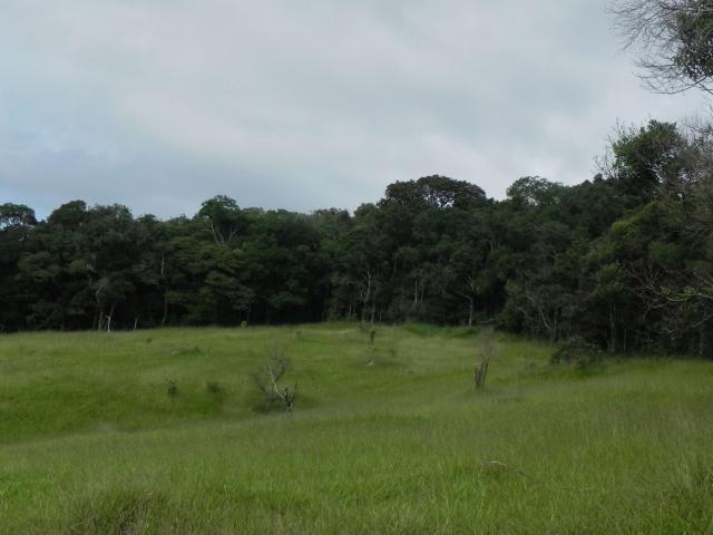 Agt-ótimo terreno para construir chacará na região de Mairiporã - Foto 10