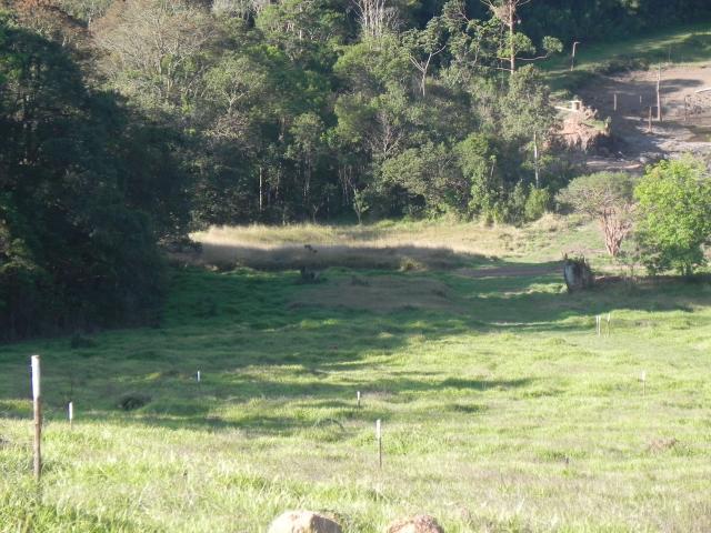 Agt-ótimo terreno para construir chacará na região de Mairiporã - Foto 12
