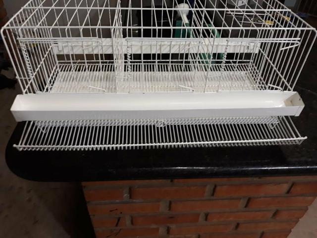 Gaiola para codorna