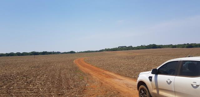 Fazenda em Rio Verde 28 alqueires | 170 mil | Valor de Oportunidades - Foto 3