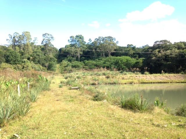 Chácara com casa a 22 km da cidade de Caxias do Sul - Foto 7
