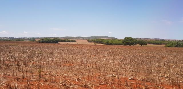 Fazenda em Rio Verde 28 alqueires | 170 mil | Valor de Oportunidades - Foto 2