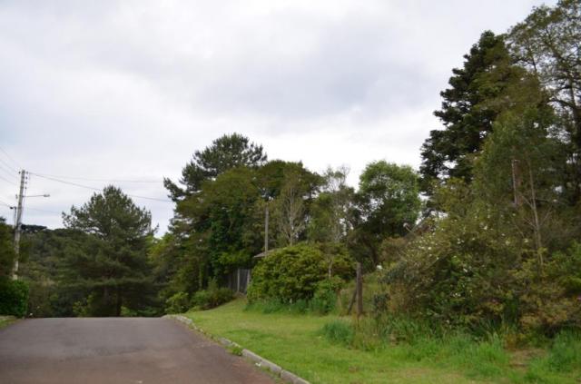 Terreno à venda, 1049 m² por R$ 450.000,00 - Villágio - Gramado/RS - Foto 5