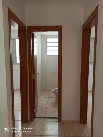 Apartamento para alugar com 2 dormitórios em Jardim nunes, Sao jose do rio preto cod:L7294 - Foto 3