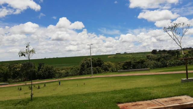 Loteamento Cidade Jardim -Trindade Goias - Foto 15