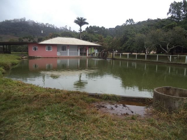 Domingo martins pedra azul