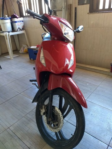 MOTO BULL