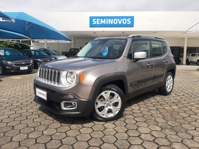 RENEGADE LIMITED