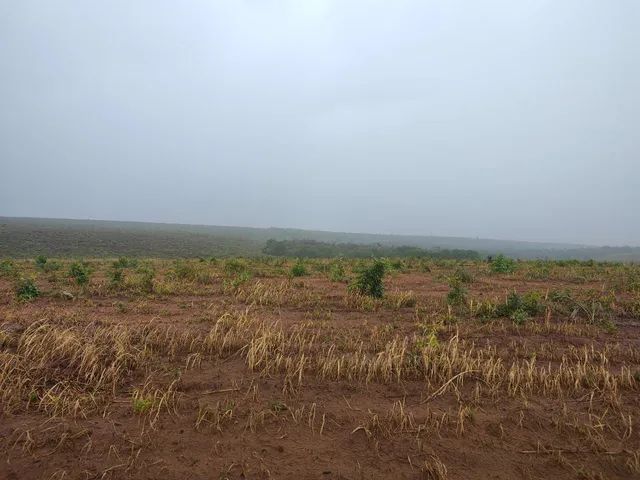 FAZENDA  DE OPORTININADE TOCANTINS  - Foto 3
