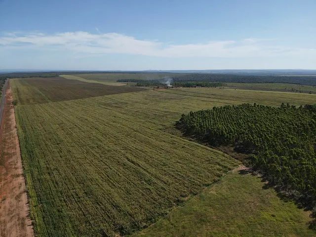 FAZENDA  DE OPORTININADE TOCANTINS  - Foto 4