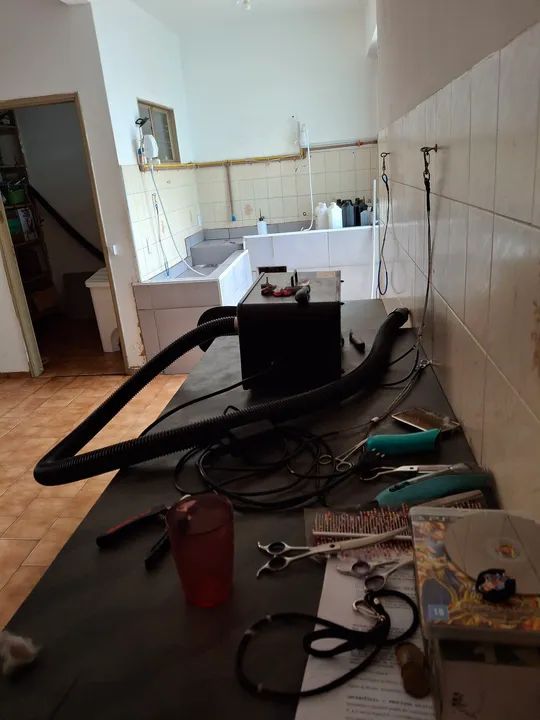 PETSHOP / BANHO E TOSA MONTADO NA SILVA JARDIM - Foto 9