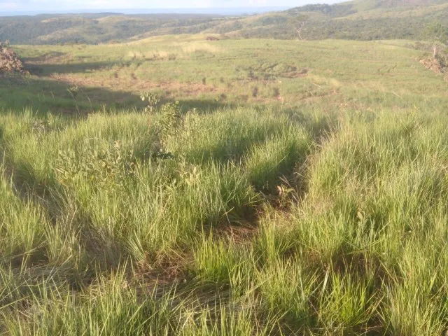Fazenda a Venda para Plantação Soja