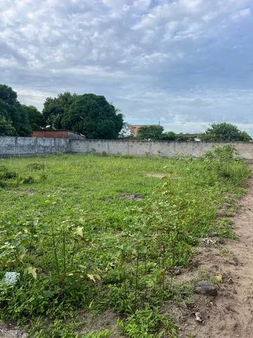 Oportunidade dois lotes terrenos 24x30  - Foto 4