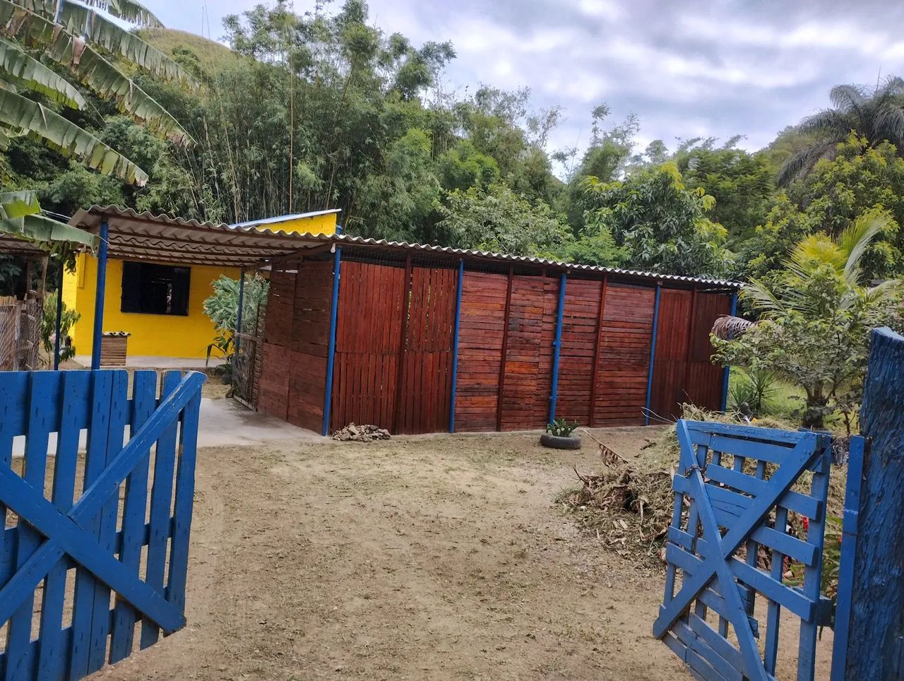 Foto - Miguel Pereira - 