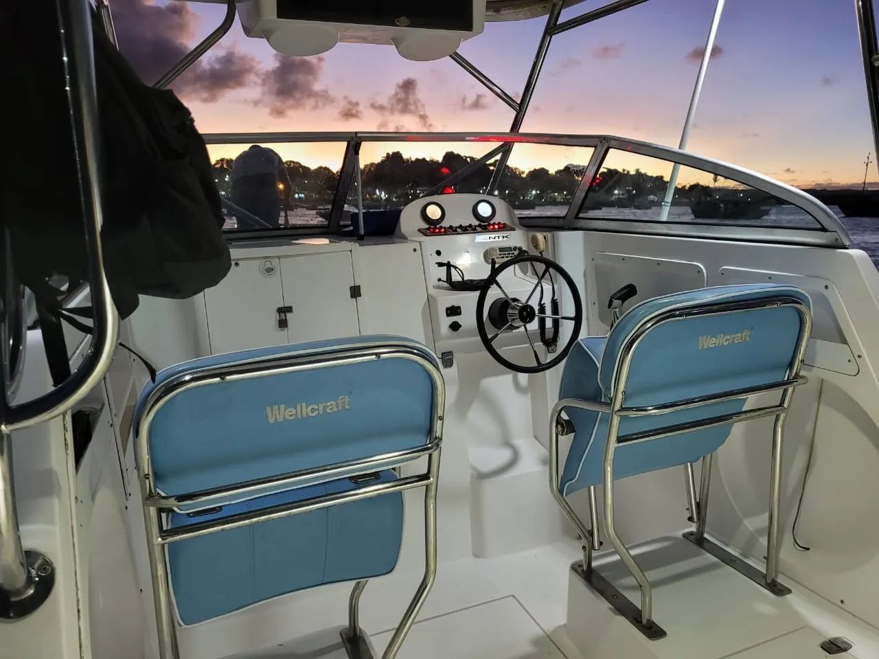 Wellcraft WA 260 - Foto 2