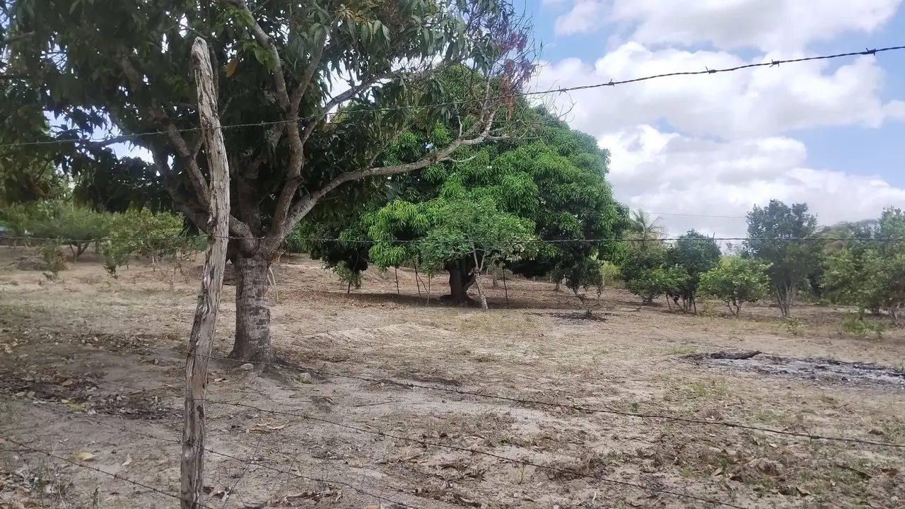 Sítio em Lagoa Seca em excelente localização  - Foto 14