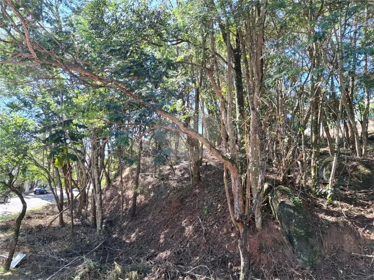 Terreno à venda em Jardim peri - SP - Foto 5