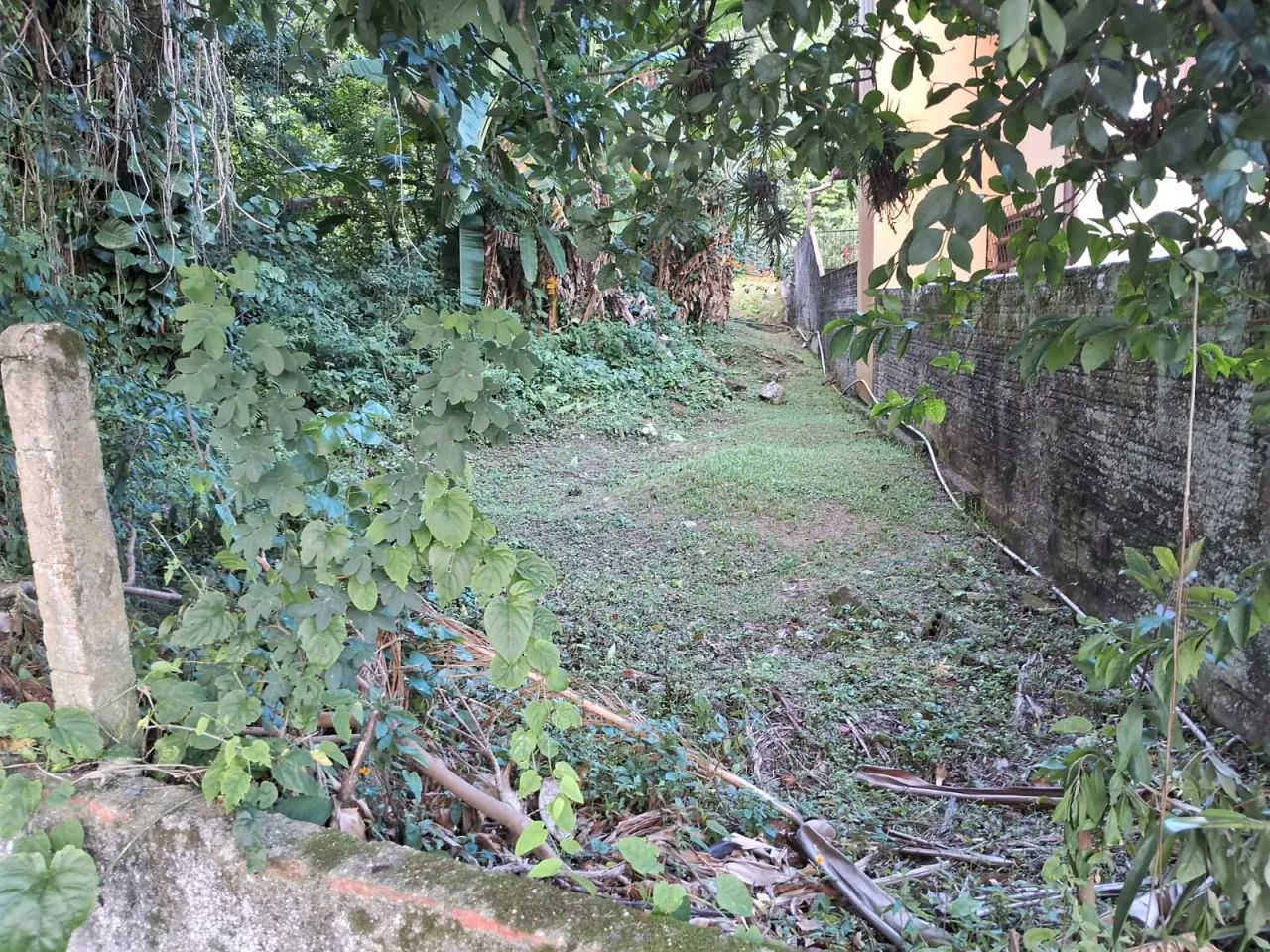 Excelente oportunidade de Investimento - Ribeirão da Ilha Florianopolis SC - Foto 3