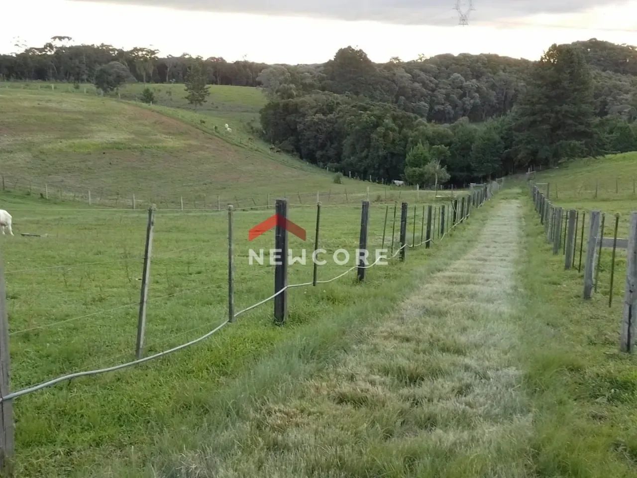 Chácara em Rua São Josemaria Escrivá - Colônia Murici - São José dos Pinhais/PR - Foto 12