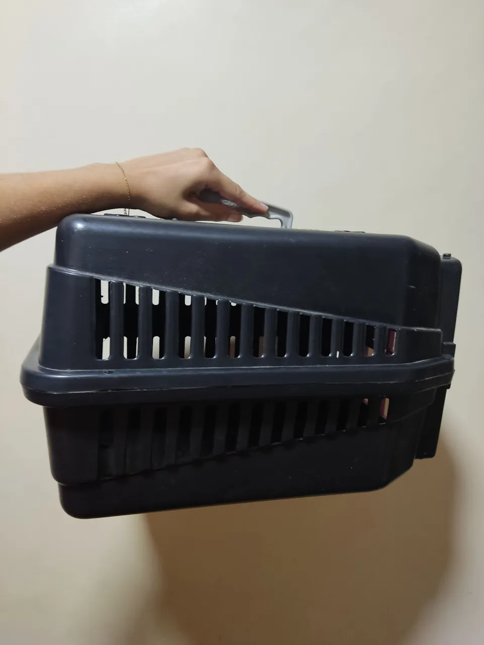 Caixa de Transporte para Animais - Prática e Segura