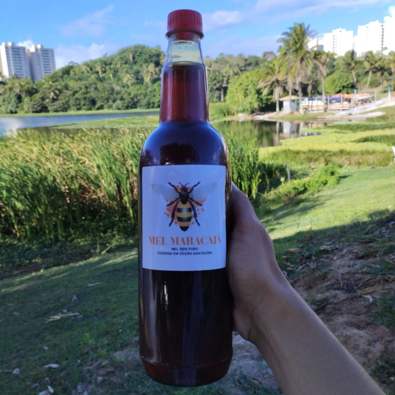 Mel de Italiana 100% puro - Fazenda em Cícero Dantas/BA