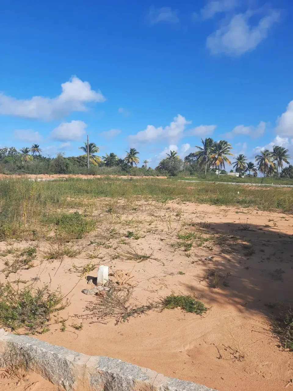 últimos lotes na cidade de conde