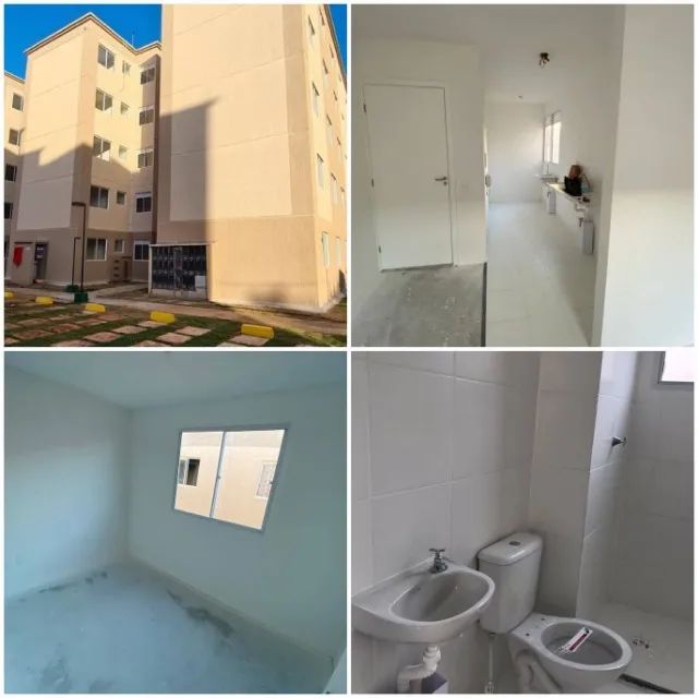 Foto - Canoas - Rio Branco