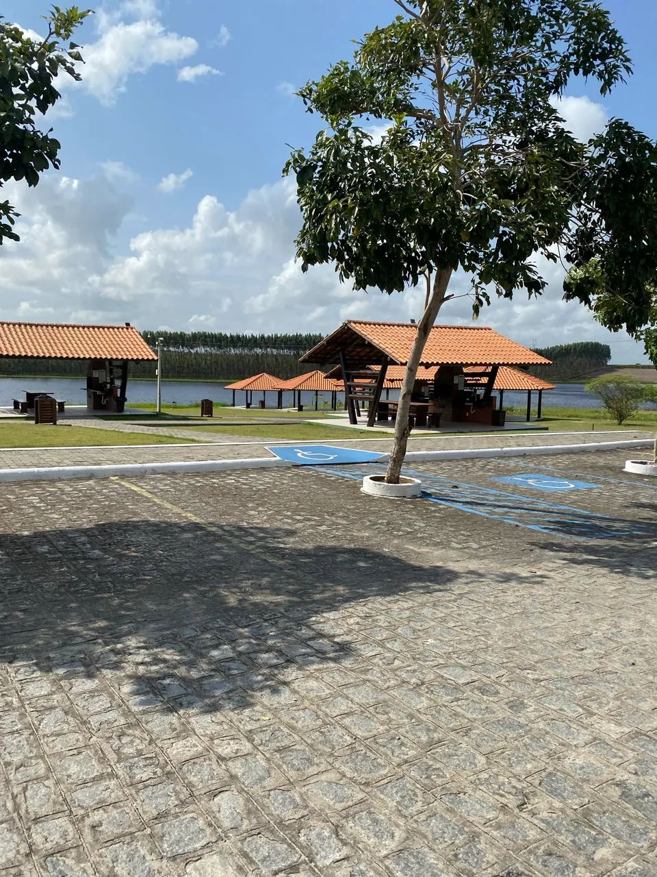 Repasse na fazenda real 1 - exclusivo 20 minutos de João Pessoa  - Foto 7