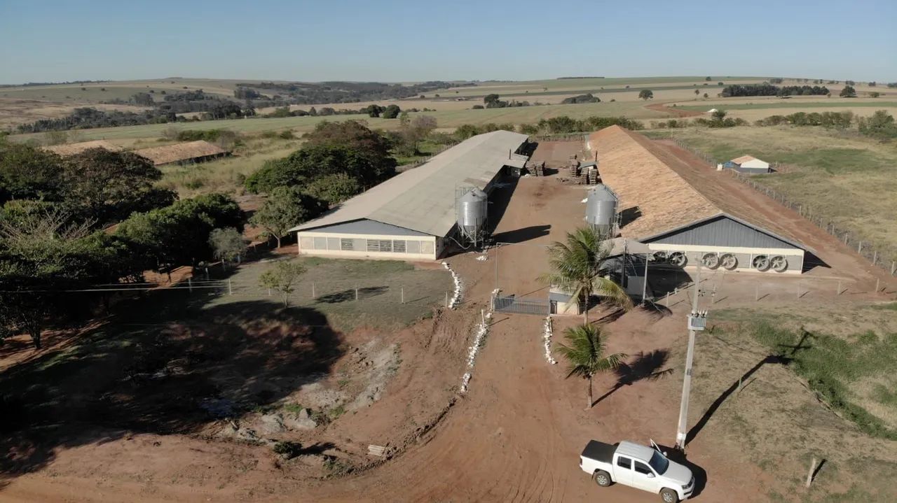 Granja já pronta  - Foto 3