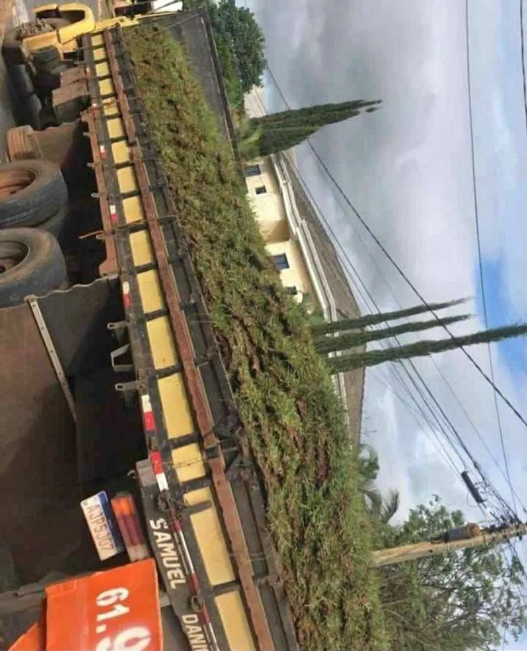 Gramas apartir de 6,99 ó m2 já plantado! - Foto 4