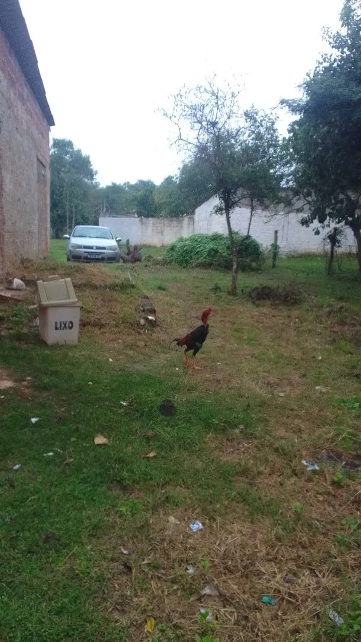 Vendo uma chacrinha passagem da Conceição
