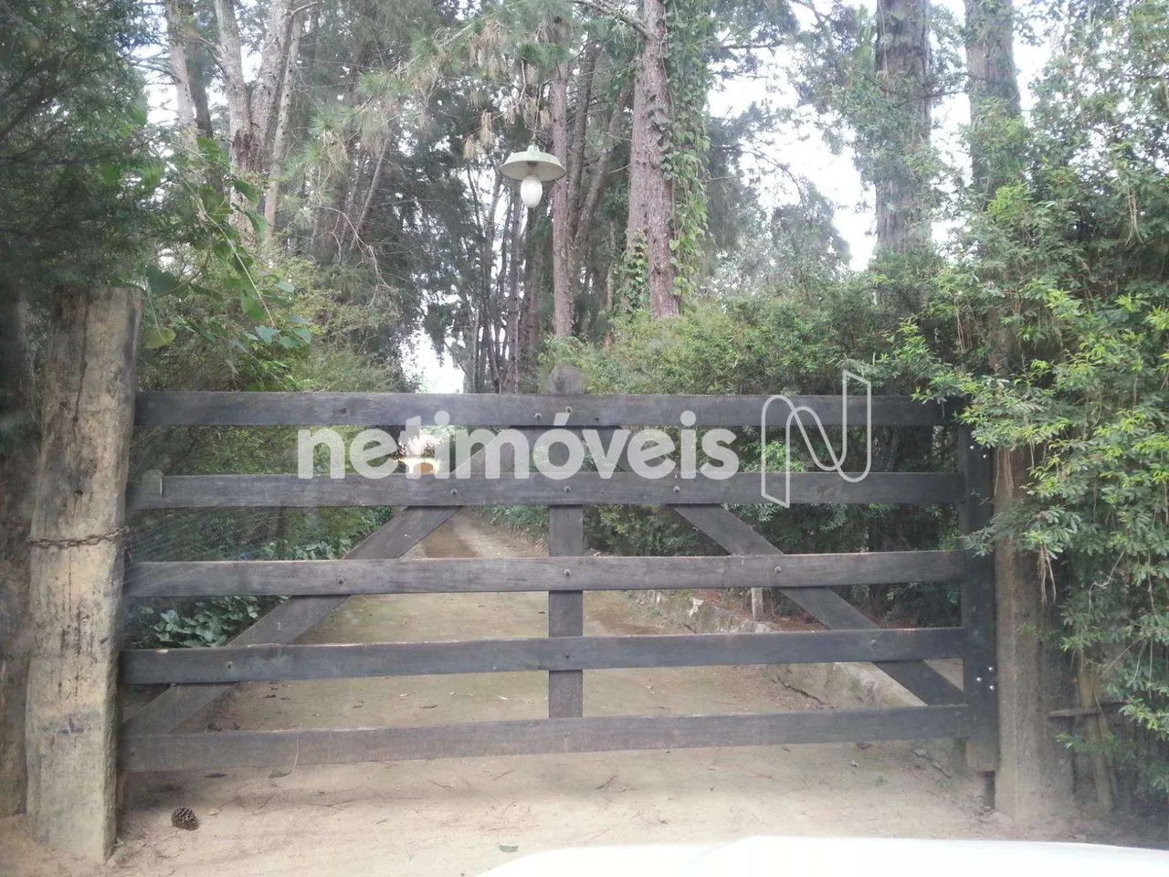 Chácaras à venda em Queluzito! - Foto 5
