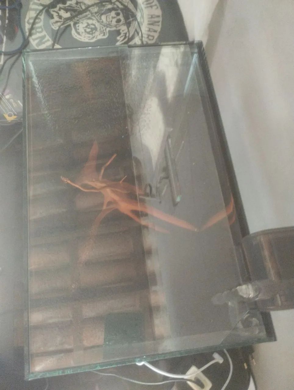 Aquário 30 litros - Foto 3