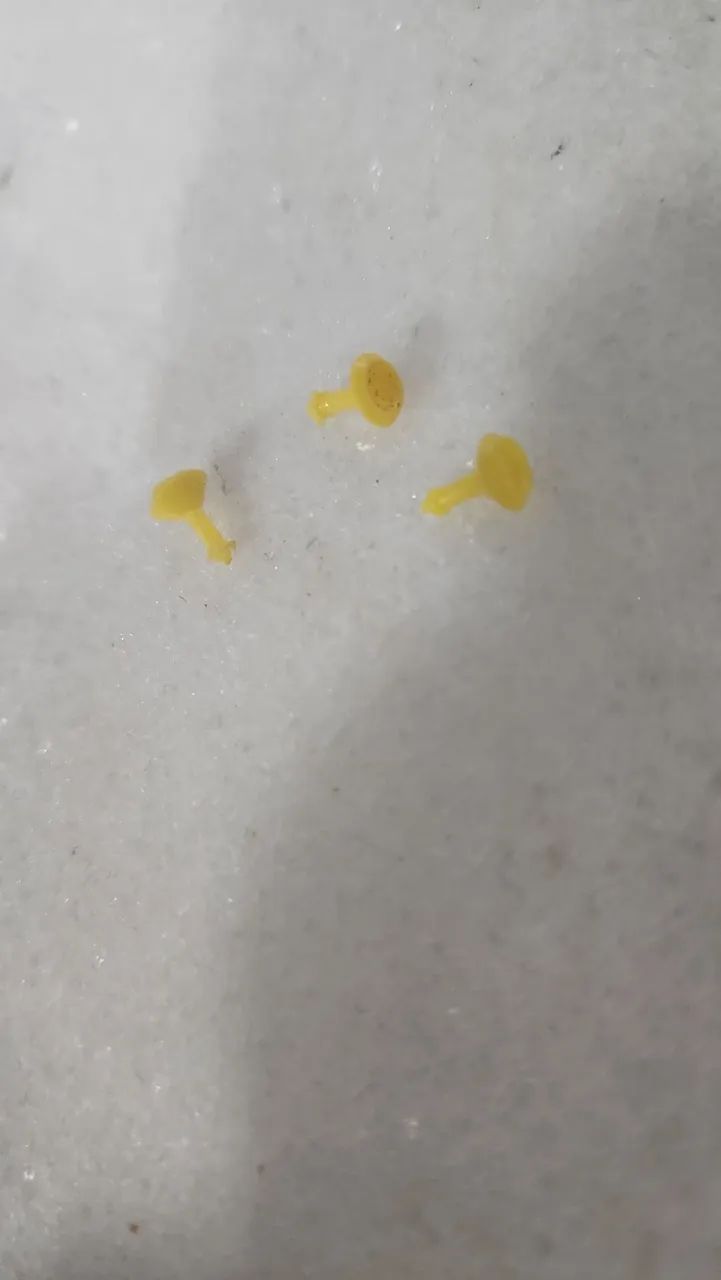 Barbie Estrela joias