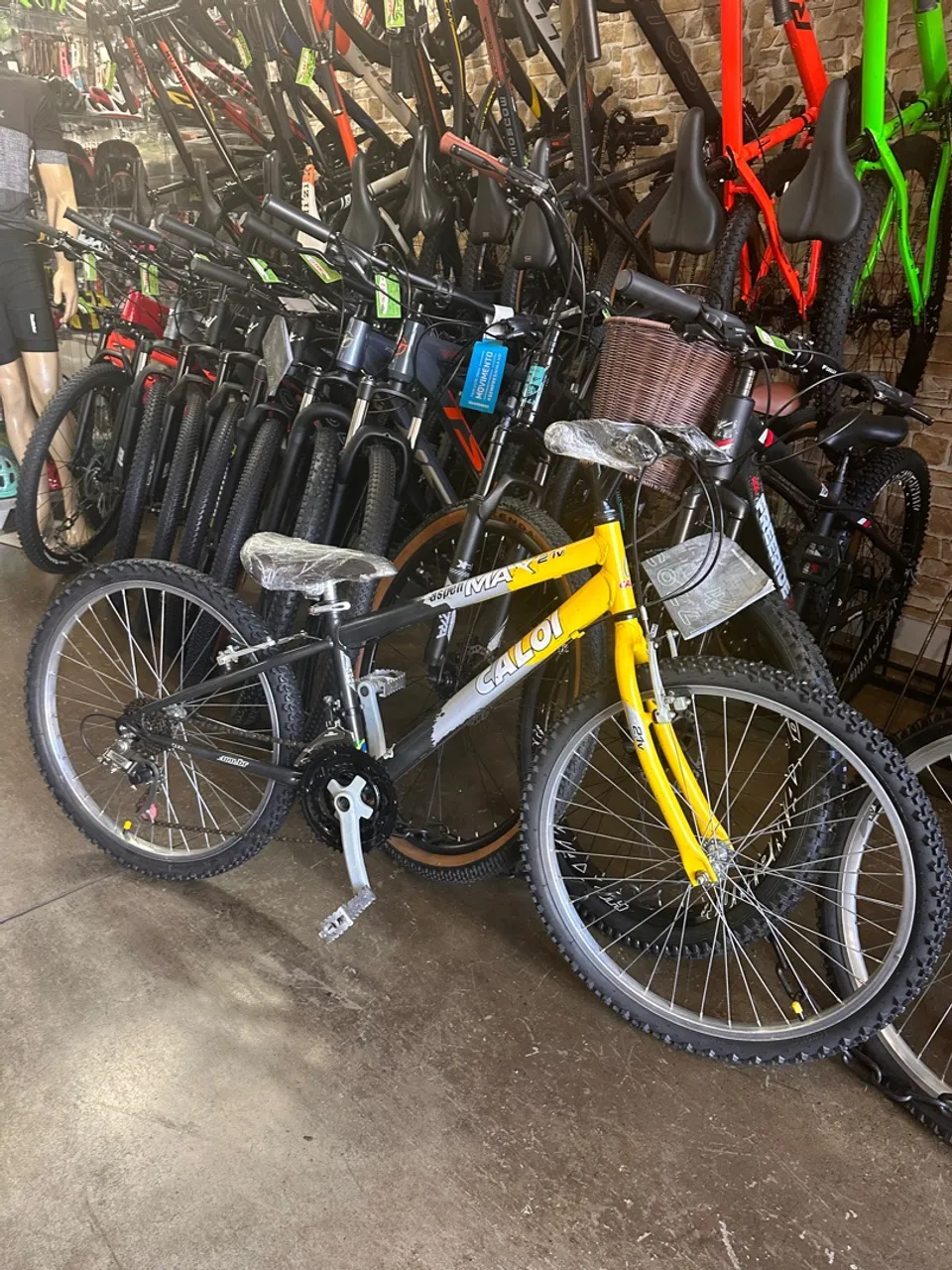 Bicicleta Caloi com Marcha - Ideal para Passeios!