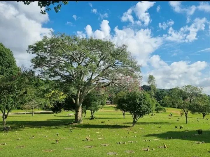 Vendo Jazigo Cemit. Parque Iguaçu com 3 gavetas + lápide sem taxa de transferência. 