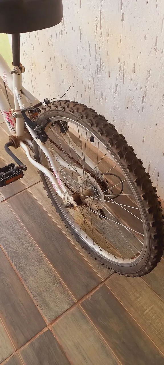 Bicicleta 18 manchas Status  - Foto 5