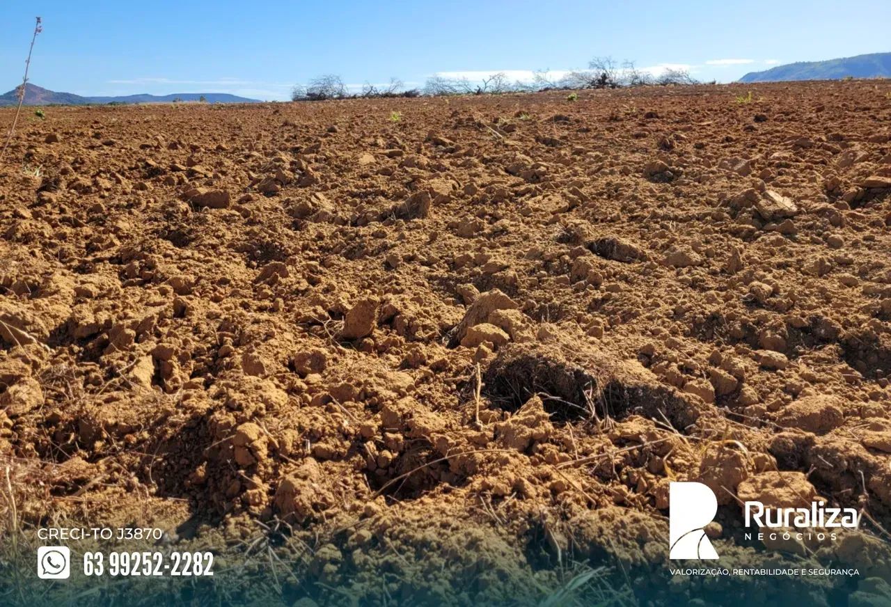 Fazenda a venda em Brejinho de Nazaré | Argilosa | Curral para 1.000 cabeças - Foto 4