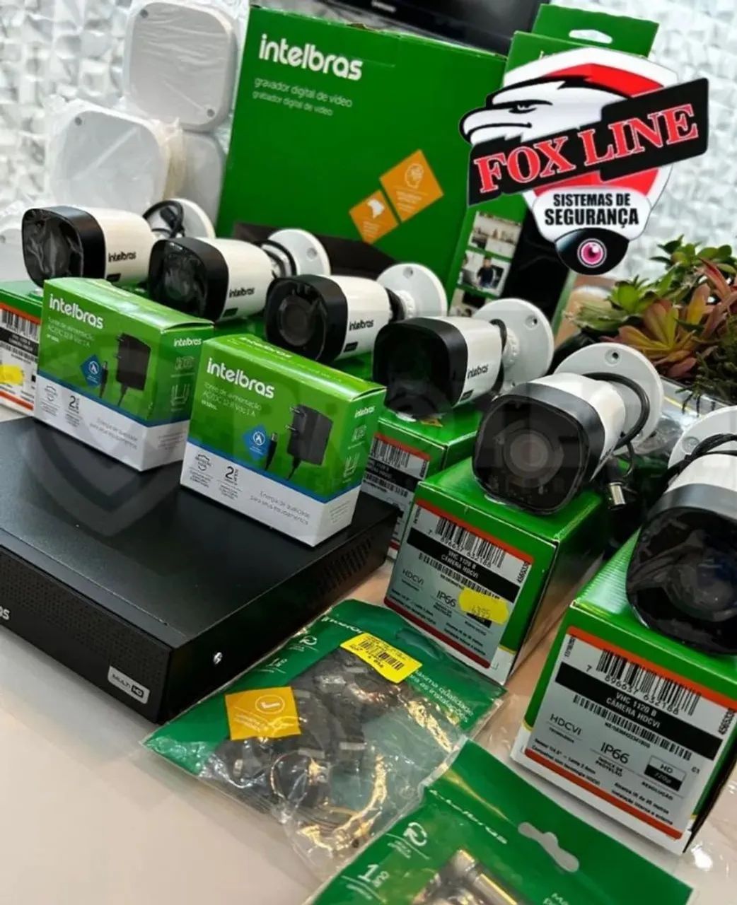 Cameras 