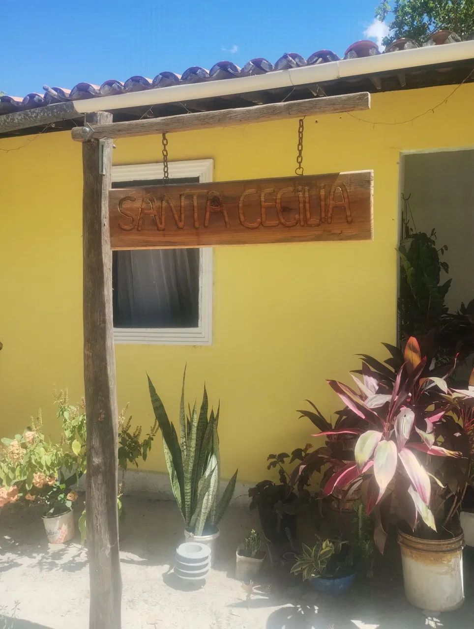 Placa rústica de madeira 