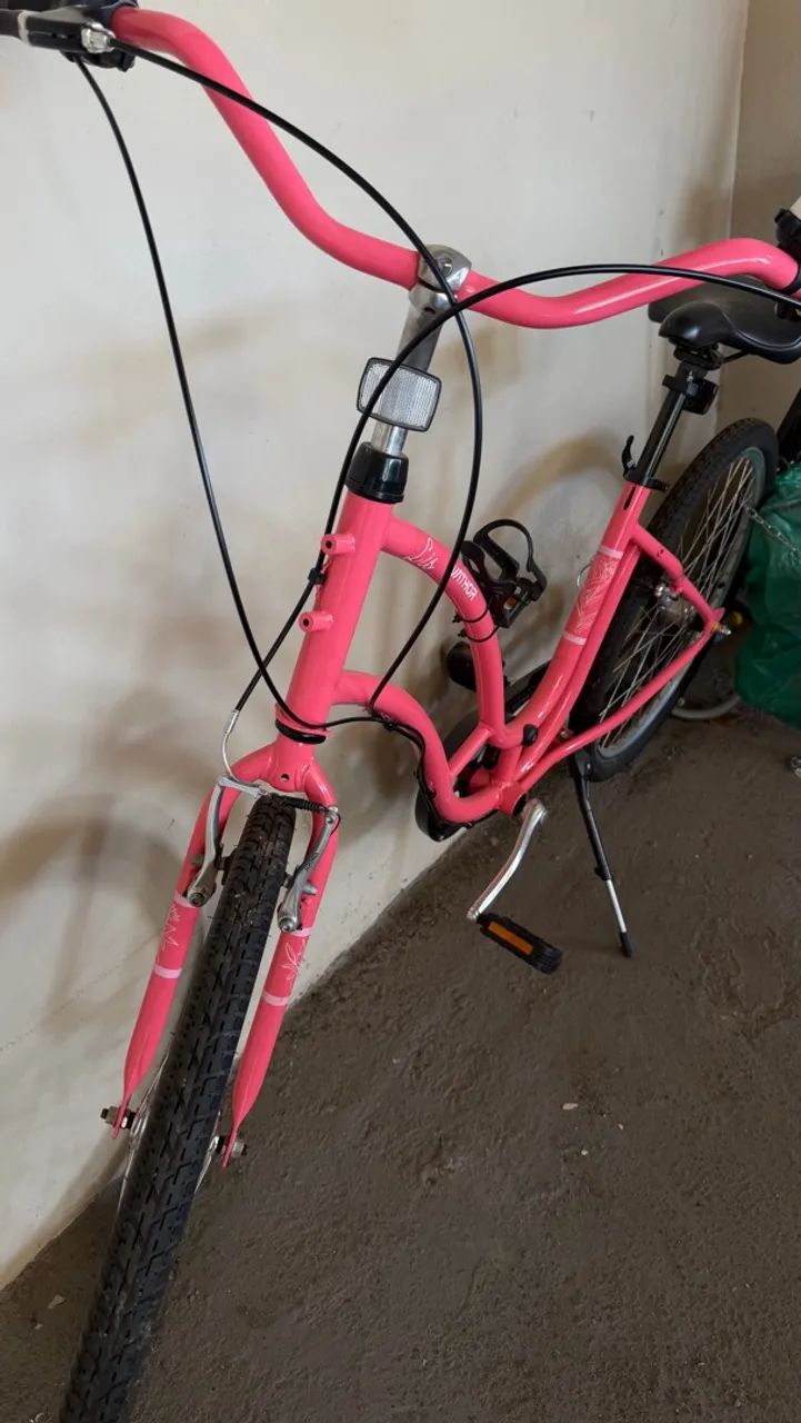 Bicicleta Nathor Louis Aro 26 (Shimano Nexus 3V) - Foto 4