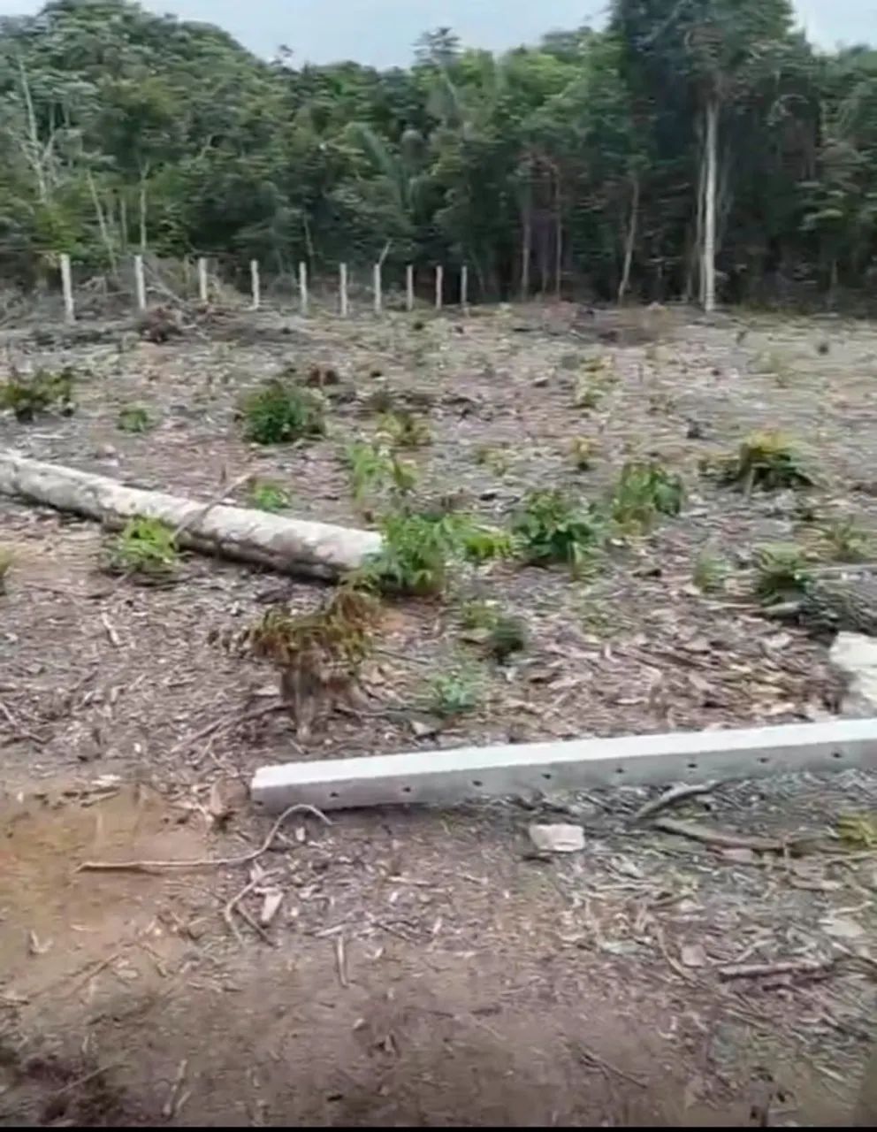 Vendo Lote de Terreno no Ramal da Cacheira do Castanho (390m²) - Foto 4